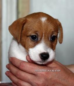 ����� ���� ������� �������