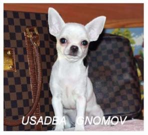 �������� �����