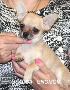 �������� �����