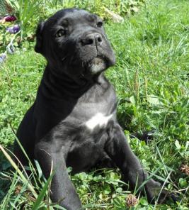 ���� ����� �����