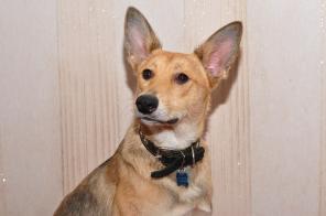 �����, ������� �������� ������� � ������ ����