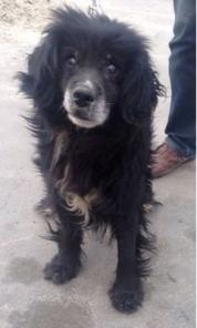 ����, ����� �������� � ������ ����