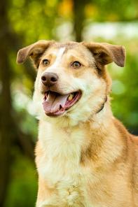 ����� - ������ ������ ������ !!!