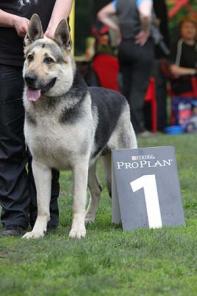 �������������� ����� ���, �������� ���