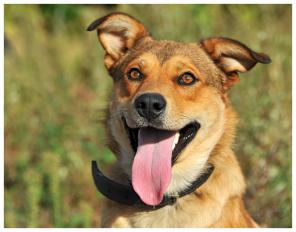 ��������� ��� � ������ ����!