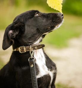 �������������� �������� ����������� ����� ��� � ����� � ������ ����