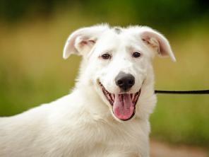 �������������� �������� ����������� ����� ��� � ����� � ������ ����