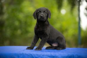 �������������� ������ ���� ���.