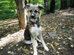 ����, ������������ ����. � ���. � ������ ����.