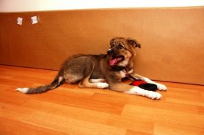 ����, ������������ ����. � ���. � ������ ����.