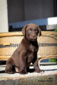 ���������� ����� ��������� �� ��������