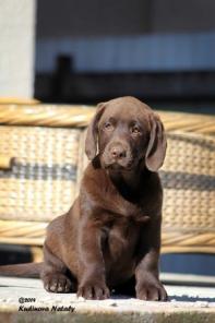 ���������� ����� ��������� �� ��������