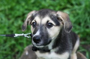 ����� ���� � ���!