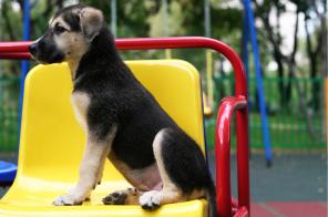 ����� ���� � ���!