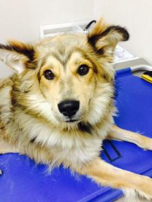 ������������ ��� ���� � ���!!!