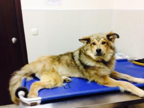 ������������ ��� ���� � ���!!!