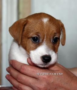 ����� ���� ������� �������