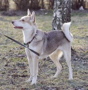 ����� ����� ������ � ������ � ������������� ����.