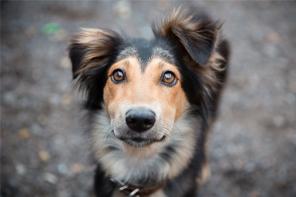 ������������ ������  ���!