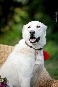 1.5 ��������� ������ ������ � ���