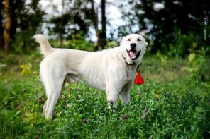 1.5 ��������� ������ ������ � ���