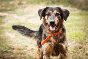 ���� ��� ������� ���������� ��������� ������, �� ����� �������.