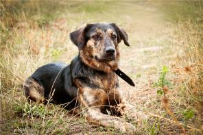 ���� ��� ������� ���������� ��������� ������, �� ����� �������.