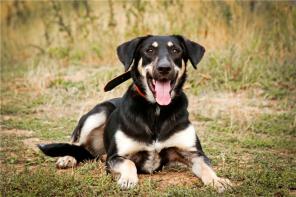 �������� - ������������� ������ � ���.