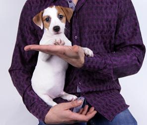 ���� ������ ������- �����