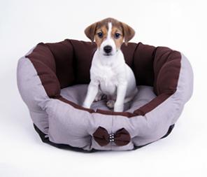 ���� ������ ������- �����