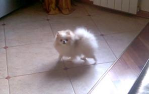 ������� ������ (����������� ����).