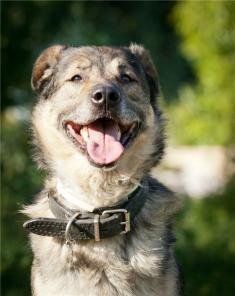 ������ - ������ ���� � ���.