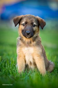 ������������� ����� � ���