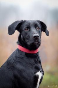 ��������, �����, ������ ������ �����! � ������ ����, � ���!