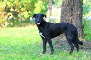 ��������, �����, ������ ������ �����! � ������ ����, � ���!