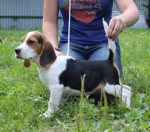 ��������� ����� ����� �����