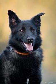 ���� ��������� ������� ������� �����