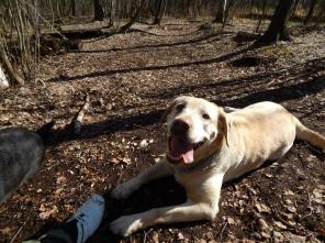 ����� - ������ � �������� ������������