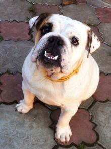 ���� - ����� ����������� �������� ���� ���!