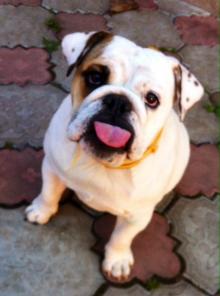 ���� - ����� ����������� �������� ���� ���!