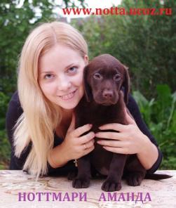 ����� ��������� ����������� ������