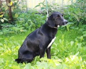 ����� ��������� � ������ ����