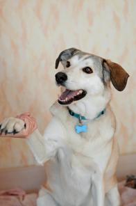 ���� ��� ������������ ��� �����