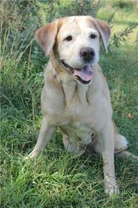 ��������� �������� ����� ���� ������� �����