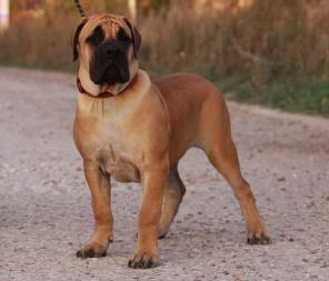 ����� ���������������� �������