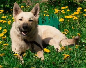 ����� -  ����� ����� � ���!