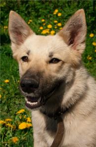 ����� -  ����� ����� � ���!