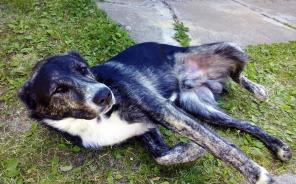 �������� ������� ����� ������ � ���.