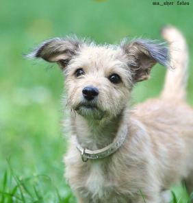 ����� � ���. ���� - ����� ������, �������� ���������!