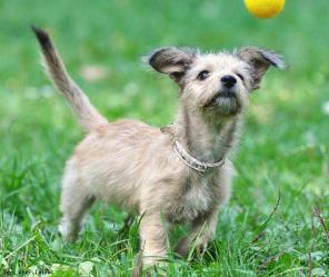 ����� � ���. ���� - ����� ������, �������� ���������!